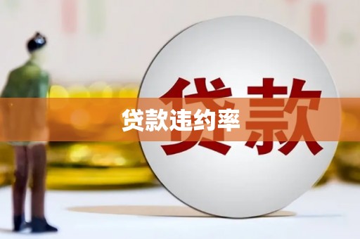 横峰贷款违约率