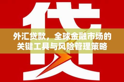 横峰外汇贷款，全球金融市场的关键工具与风险管理策略
