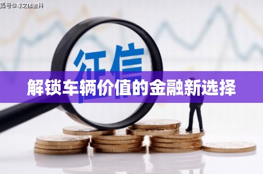 横峰解锁车辆价值的金融新选择