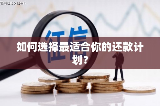 横峰如何选择最适合你的还款计划？
