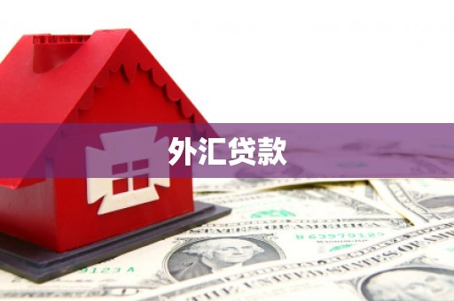横峰外汇贷款