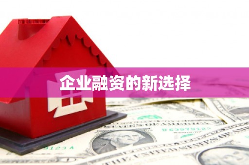 横峰企业融资的新选择