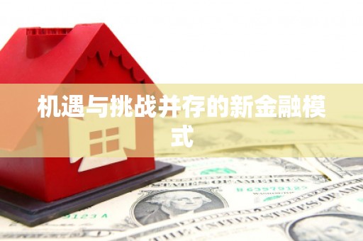 横峰机遇与挑战并存的新金融模式