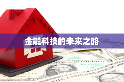 横峰金融科技的未来之路