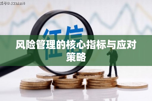横峰风险管理的核心指标与应对策略