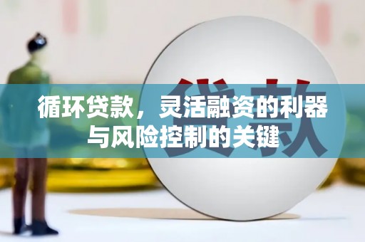 横峰循环贷款，灵活融资的利器与风险控制的关键