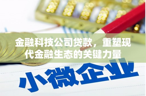 横峰金融科技公司贷款，重塑现代金融生态的关键力量