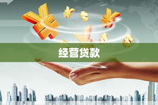 横峰经营贷款