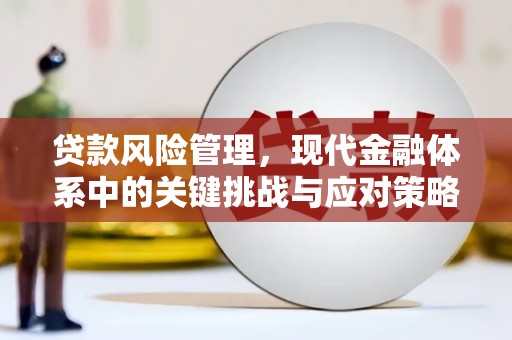 横峰贷款风险管理，现代金融体系中的关键挑战与应对策略