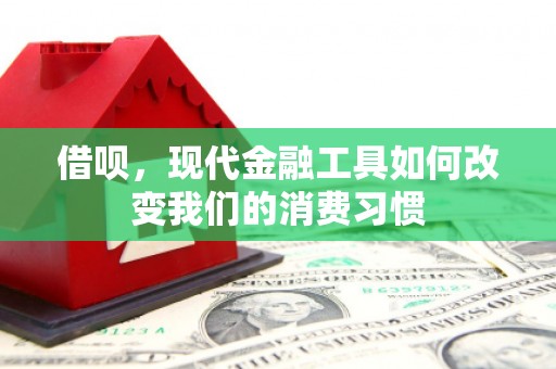 横峰借呗，现代金融工具如何改变我们的消费习惯