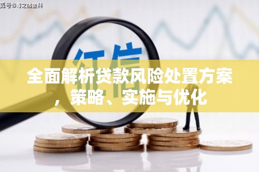 横峰全面解析贷款风险处置方案，策略、实施与优化