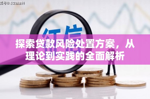 横峰探索贷款风险处置方案，从理论到实践的全面解析
