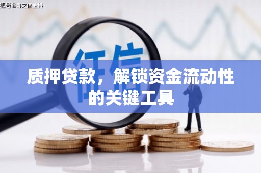 横峰质押贷款，解锁资金流动性的关键工具