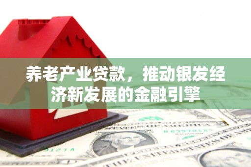 横峰养老产业贷款，推动银发经济新发展的金融引擎
