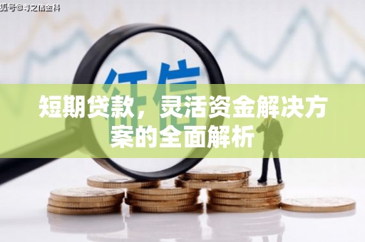 横峰短期贷款，灵活资金解决方案的全面解析