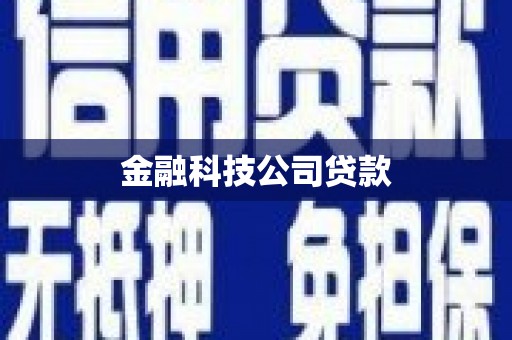 横峰金融科技公司贷款