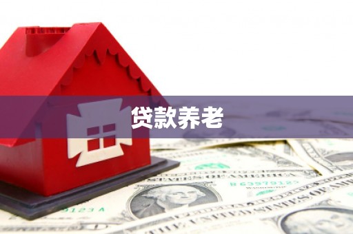 横峰贷款养老