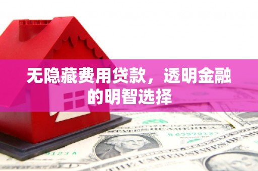 横峰无隐藏费用贷款，透明金融的明智选择