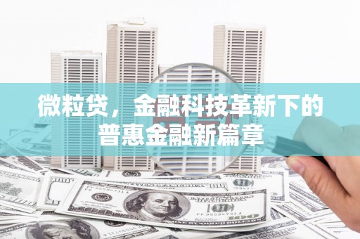 横峰微粒贷，金融科技革新下的普惠金融新篇章