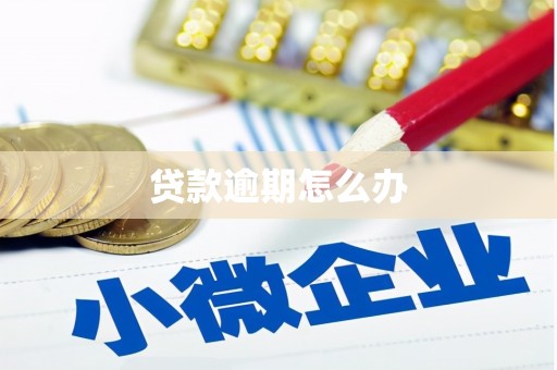 横峰贷款逾期怎么办