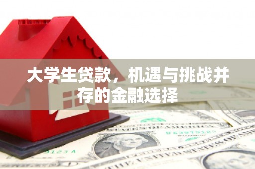 横峰大学生贷款，机遇与挑战并存的金融选择