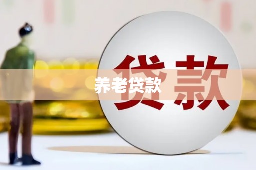 横峰养老贷款