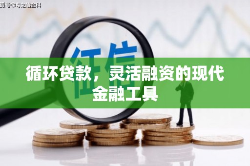 横峰循环贷款，灵活融资的现代金融工具