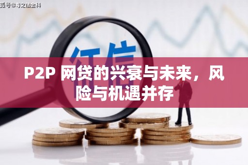 横峰P2P 网贷的兴衰与未来，风险与机遇并存