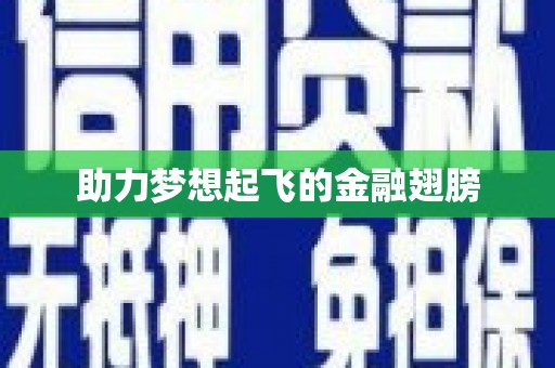横峰助力梦想起飞的金融翅膀