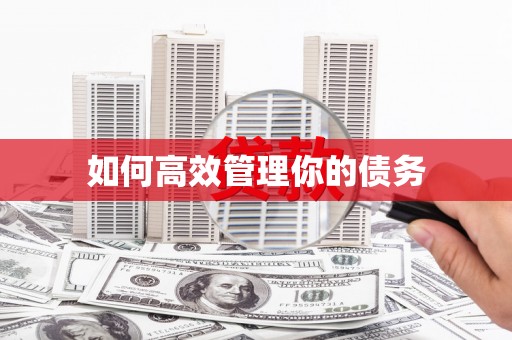横峰如何高效管理你的债务