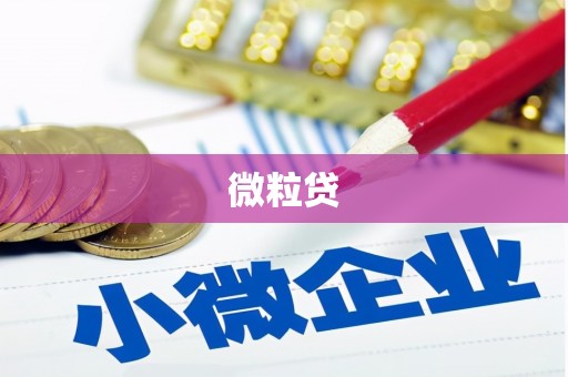 横峰微粒贷