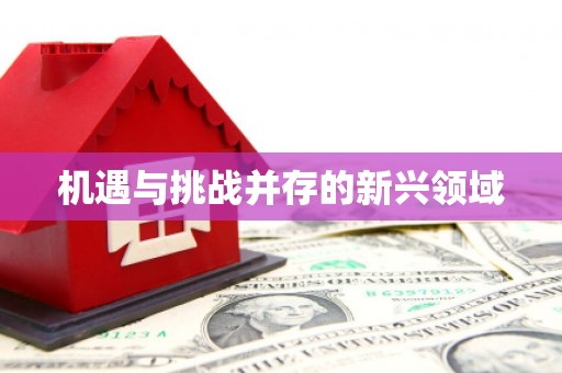 横峰机遇与挑战并存的新兴领域
