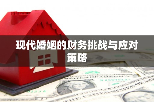横峰现代婚姻的财务挑战与应对策略