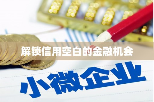 横峰解锁信用空白的金融机会