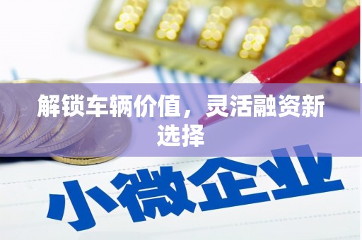 横峰解锁车辆价值，灵活融资新选择