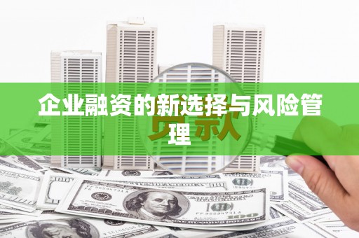 横峰企业融资的新选择与风险管理