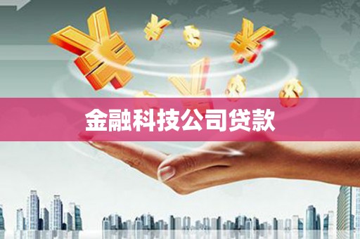 横峰金融科技公司贷款