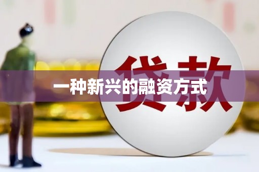 横峰一种新兴的融资方式